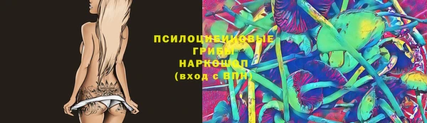 2c-b Нязепетровск