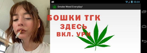 прущая мука Арсеньев